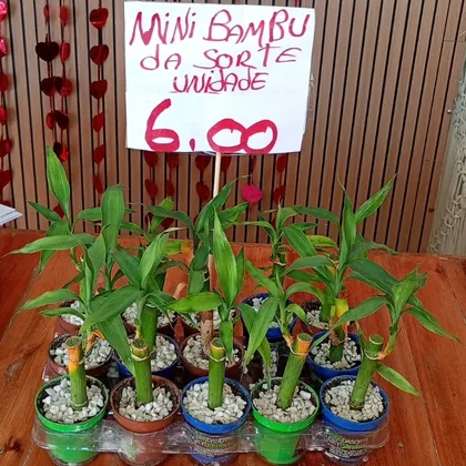 Mais um presente montado com carinho pela Pérola Flores.